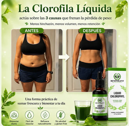 Desinflama tu cuerpo y elimina el mal aliento en una semana