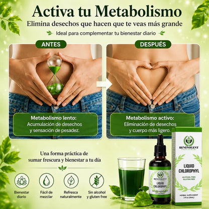 Desinflama tu cuerpo y elimina el mal aliento en una semana