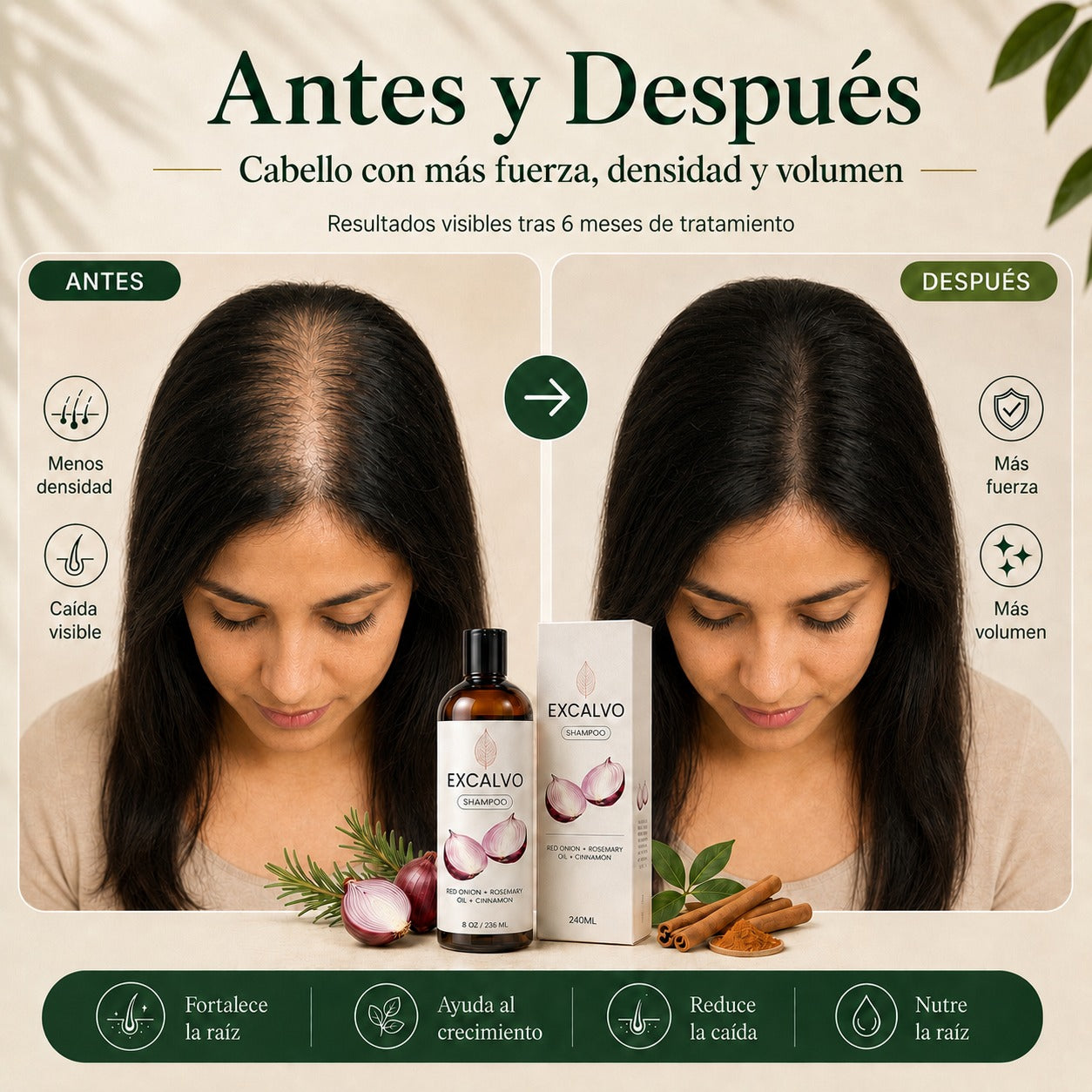 Recupera tu cabello y engrosa la fibra desde la raíz con Excalvo Shampoo USA